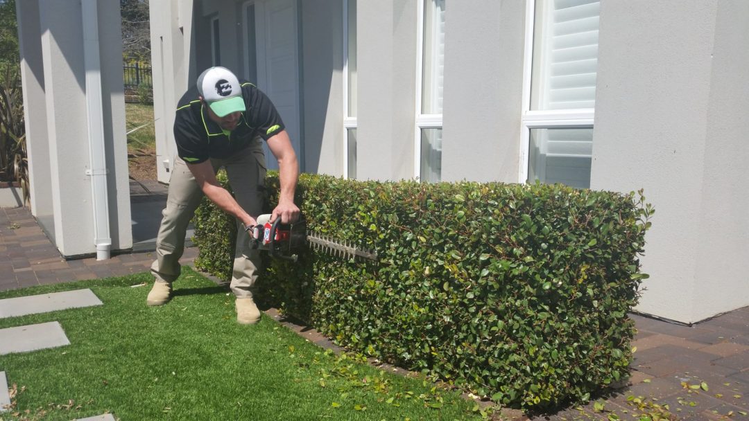 Lawn Mowing Gardening Landscaping Mount barker Adelaide Hills